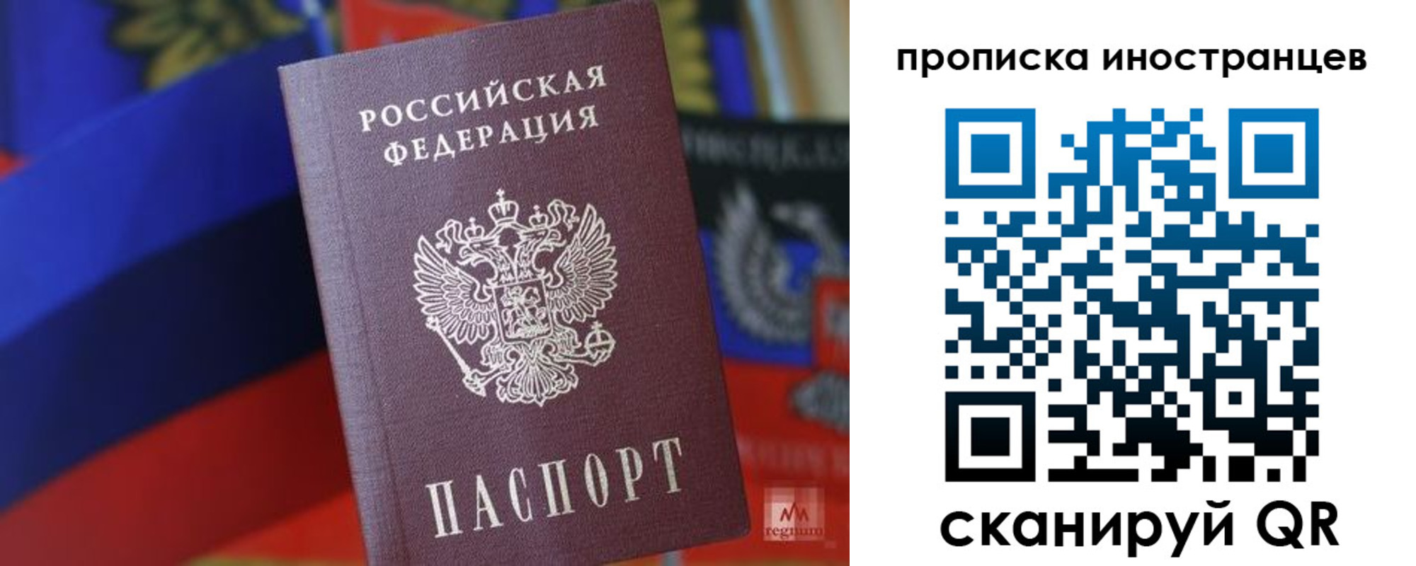 прописка законно в Светлогорске